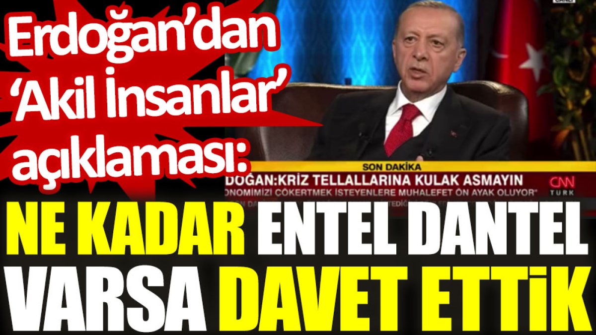 Erdoğan'dan 'Akil İnsanlar' açıklaması: Ne kadar entel dantel varsa davet ettik