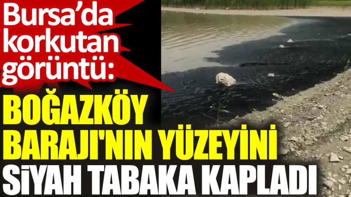 Bursa'da korkutan görüntü: Boğazköy Barajı'nın yüzeyini siyah tabaka kapladı