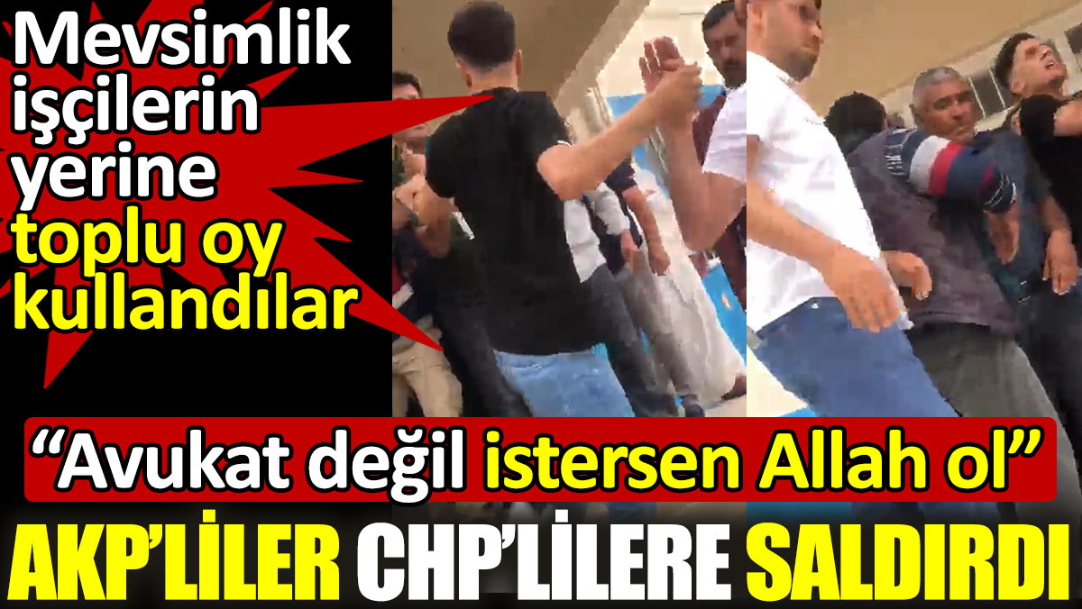 AKP’liler CHP'lilere saldırdı. Mevsimlik işçilerin yerine toplu oy kullandılar: Avukat değil istersen Allah ol