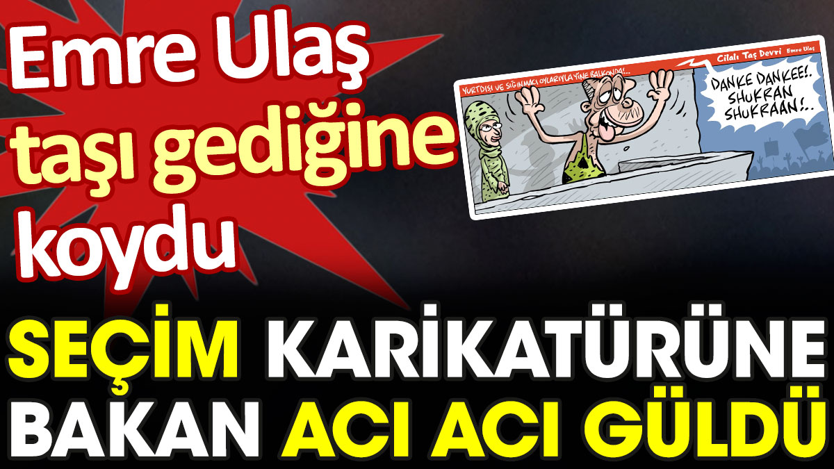 Emre Ulaş'tan taşı gediğine koyacak Erdoğan ve seçim karikatürü geldi