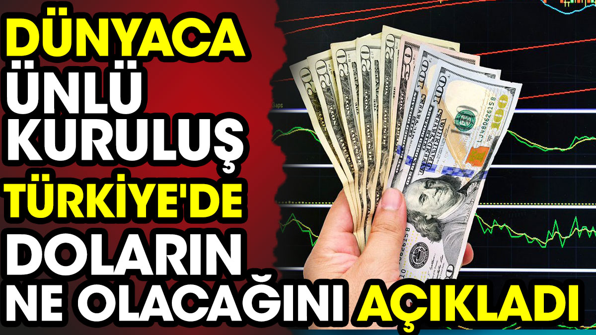 Dünyaca ünlü kuruluş Türkiye'de doların ne olacağını açıkladı
