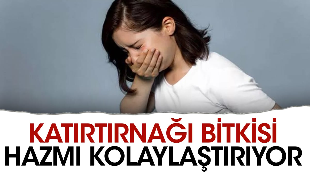 Katırtırnağı bitkisi hazmı kolaylaştırıyor