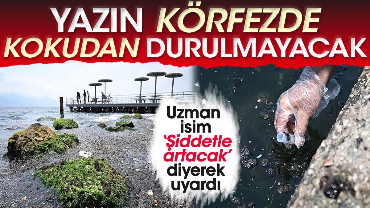 Uzman isim ‘Şiddetle artacak’ diyerek uyardı: Yazın Körfezde kokudan durulmayacak