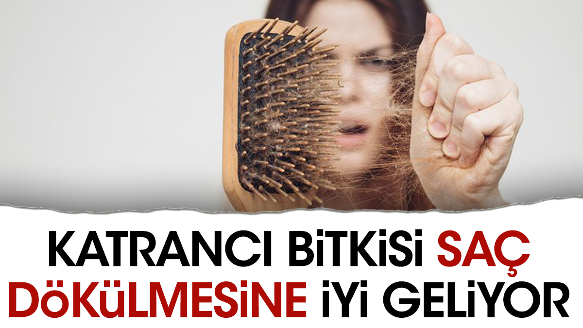 Saç dökülmesine iyi geliyor. Dikkat çeken ot