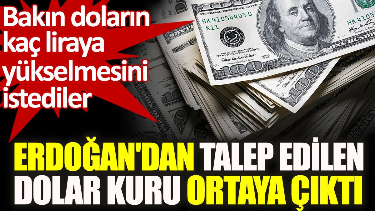 Erdoğan'dan talep edilen dolar kuru ortaya çıktı. Bakın doların kaç liraya yükselmesini istediler