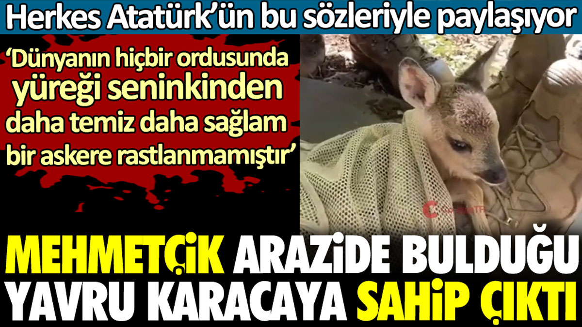 Mehmetçik arazide bulduğu yavru karacaya sahip çıktı. Herkes o anları sosyal medyada Atatürk’ün sözleriyle paylaştı