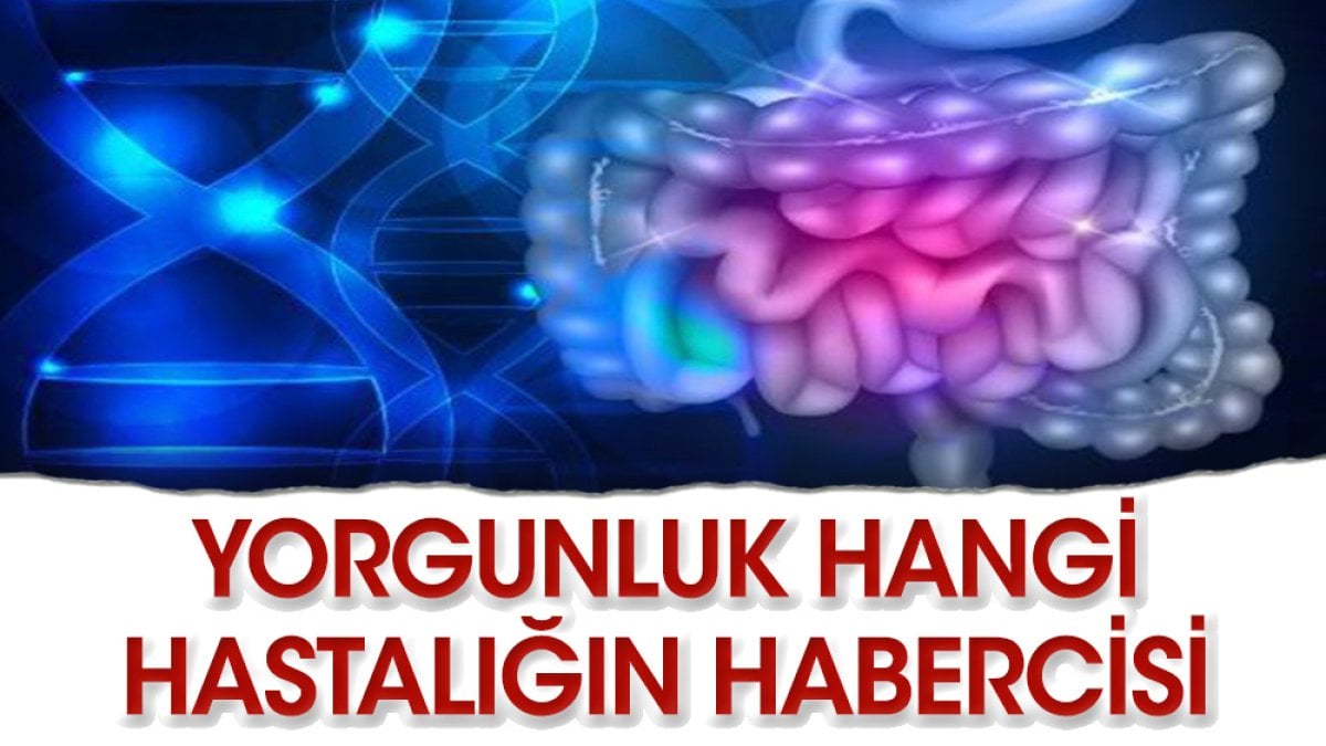 Yorgunluk hangi hastalığın habercisidir