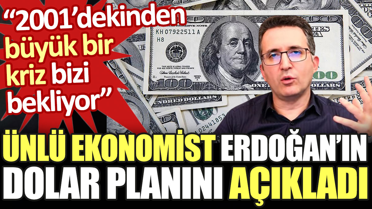 2001'dekinden büyük kriz bizi bekliyor diyen ünlü ekonomist Erdoğan'ın dolar planını açıkladı