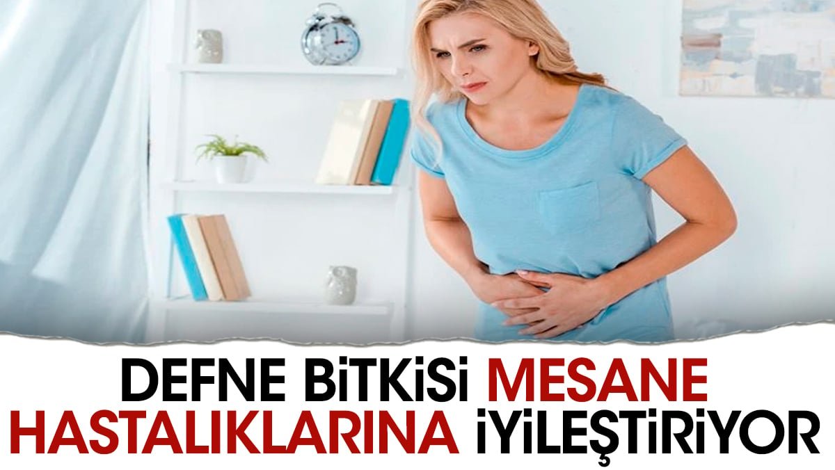 Mesane hastalıklarına iyileştiren ot ortaya çıktı