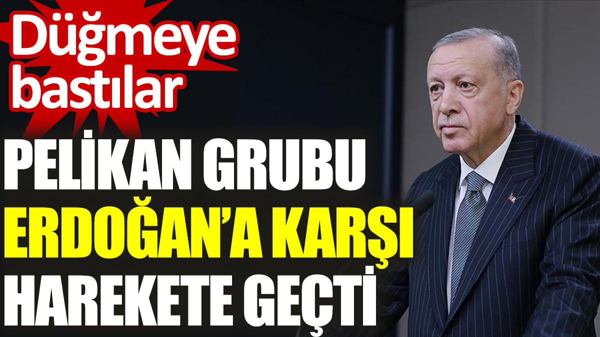 Pelikan grubu Erdoğan’a karşı harekete geçti. Düğmeye bastılar