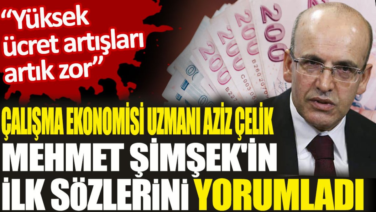 Çalışma ekonomisi uzmanı Aziz Çelik, Mehmet Şimşek'in ilk sözlerini yorumladı