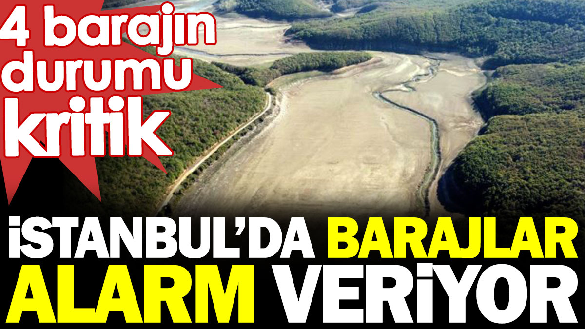 İstanbul'da barajlar alarm veriyor. 4 barajın durumu kritik