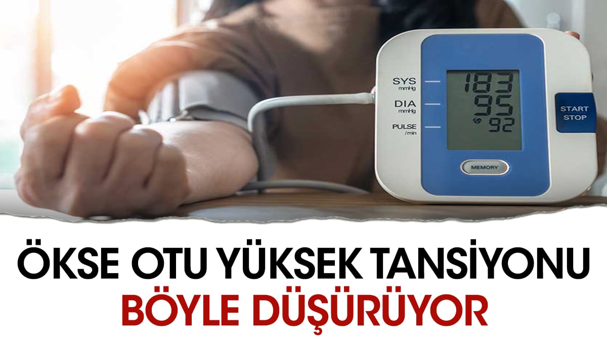 Mucize ot yüksek tansiyonu böyle düşürüyor