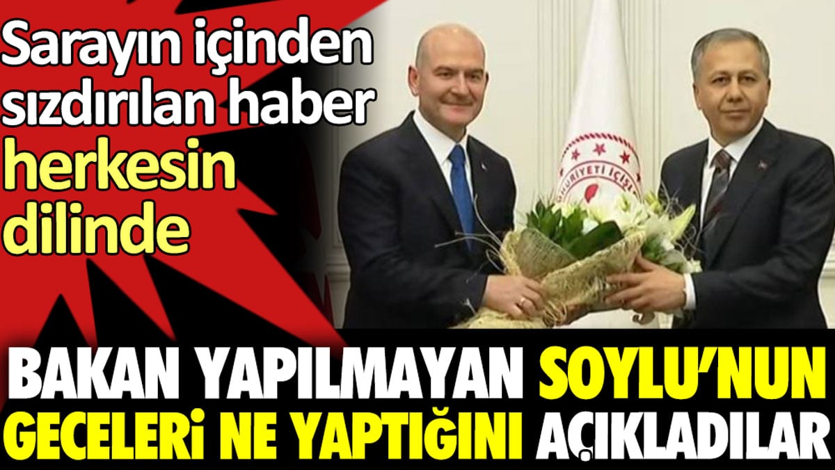 Bakan yapılmayan Soylu'nun geceleri ne yaptığını açıkladılar