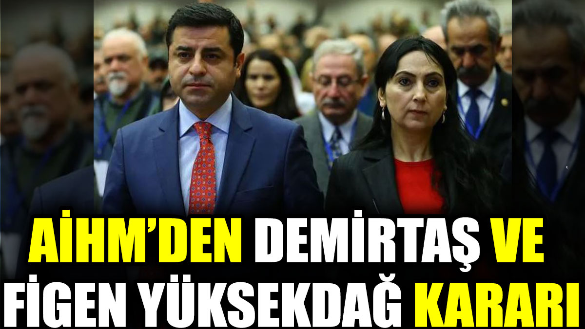 AİHM'den Demirtaş ve Figen Yüksekdağ kararı