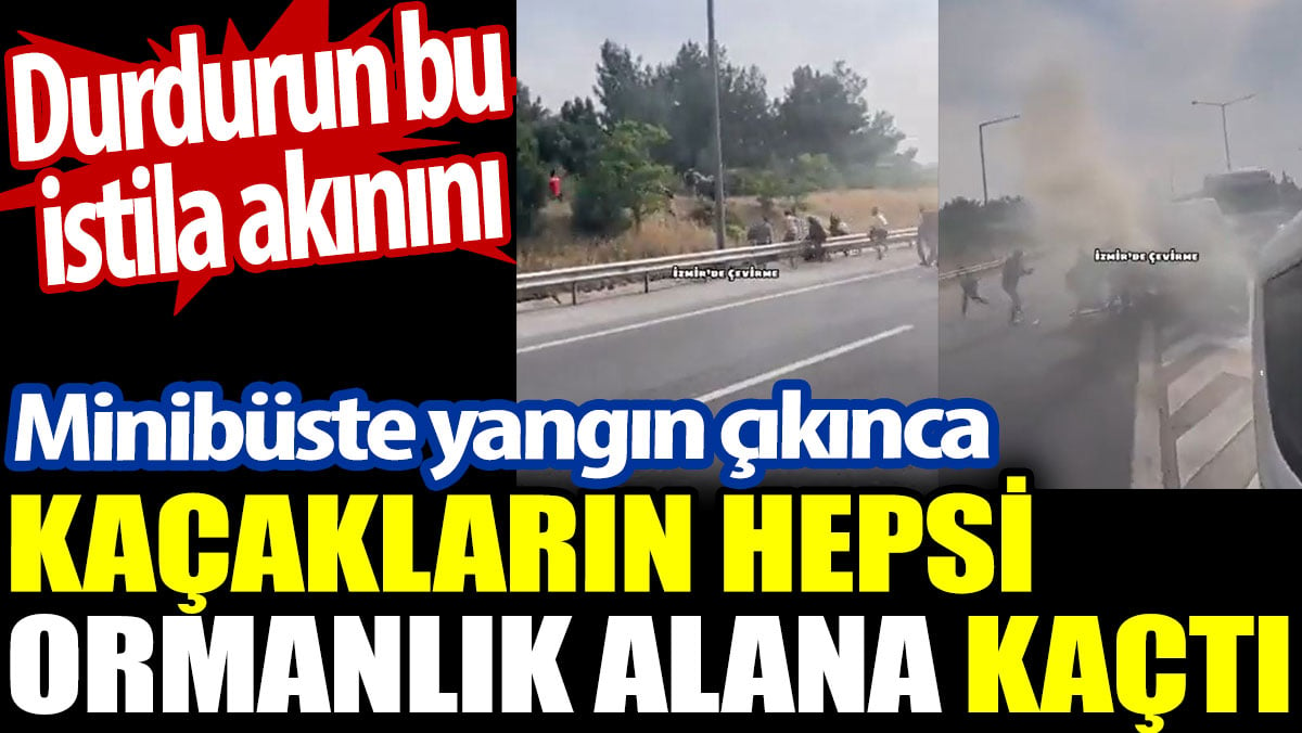 Kaçakları taşıyan minibüs alev alınca hepsi ormanlık alana kaçtı. Durdurun bu istila akınını