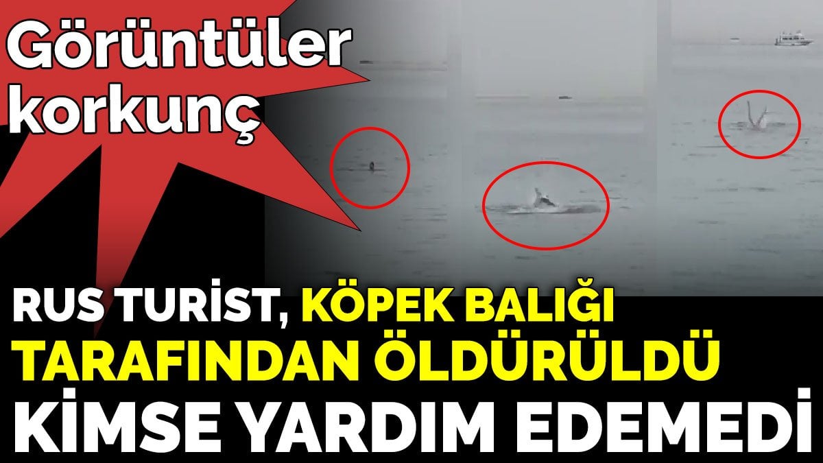 Görüntüler korkunç. Rus turist, köpek balığı tarafından öldürüldü. Kimse yardım edemedi