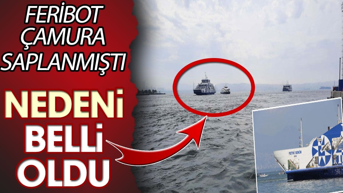 Feribot çamura saplanmıştı! Nedeni belli oldu: Denizdeki 'topuklaşma'