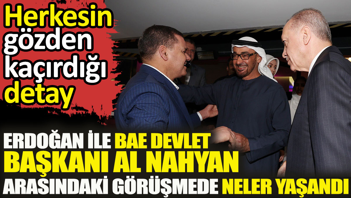Erdoğan ile BAE Devlet Başkanı Al Nahyan arasındaki görüşmede neler yaşandı. Herkesin gözden kaçırdığı detay