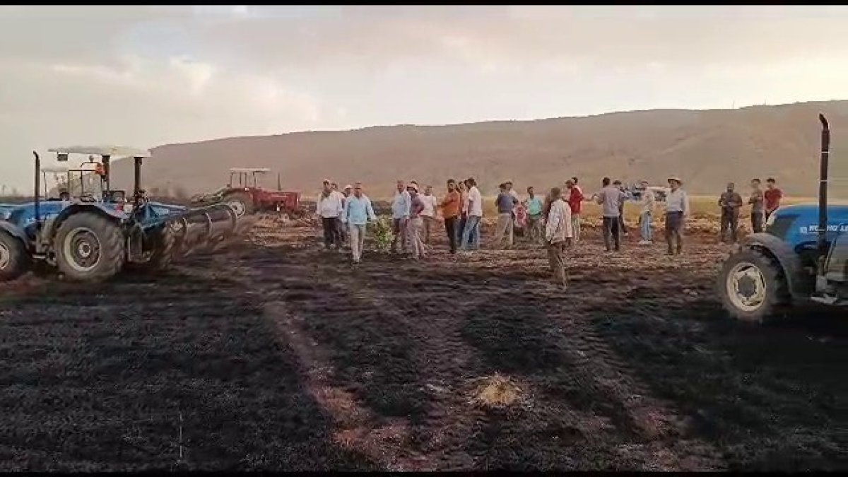Siirt'te 65 dönüm buğday kül oldu