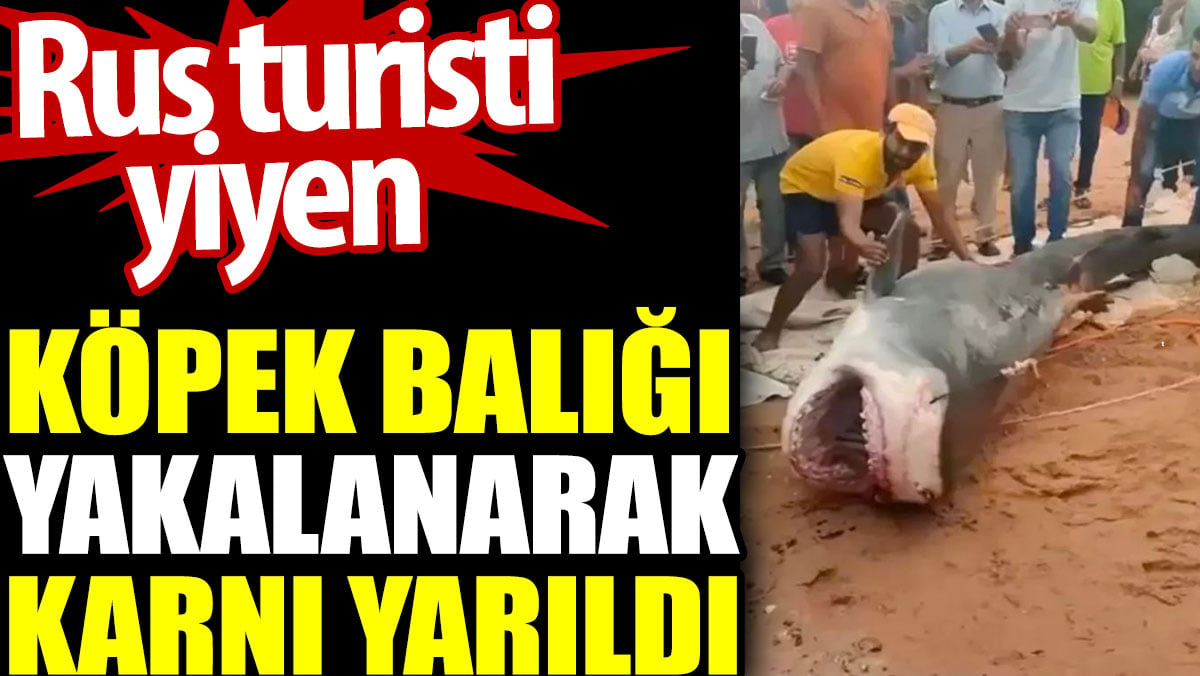 Rus turisti yiyen Köpek balığı yakalanarak karnı yarıldı