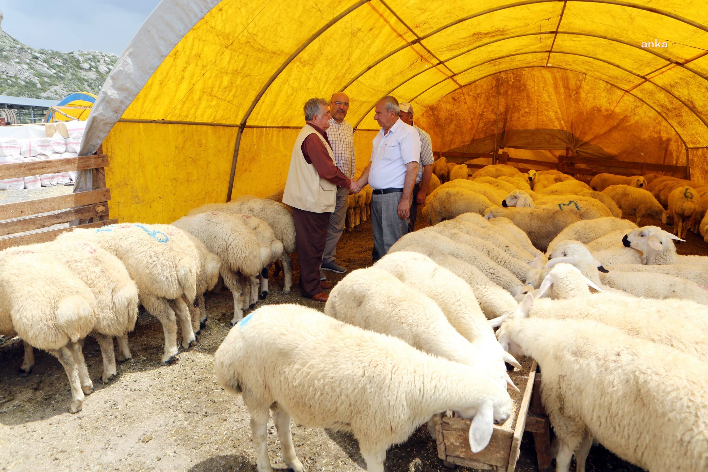 Yenimahalle 'Kurban'a Hazır