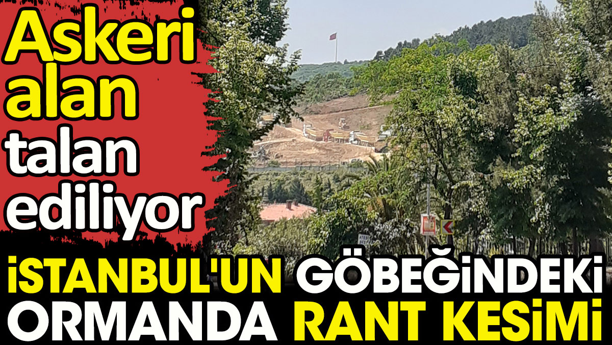 İstanbul'un göbeğindeki ormanda rant kesimi. Askeri alan talan ediliyor