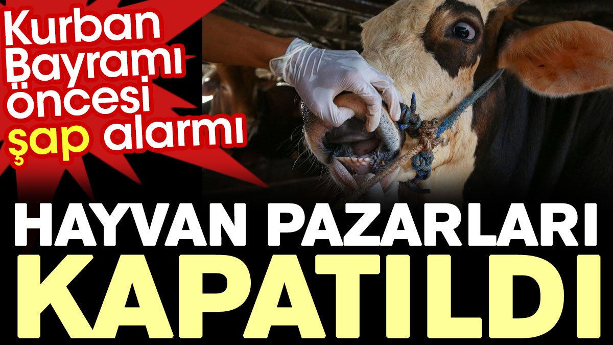 Kurban Bayramı öncesi şap alarmı! Hayvan pazarları kapatıldı