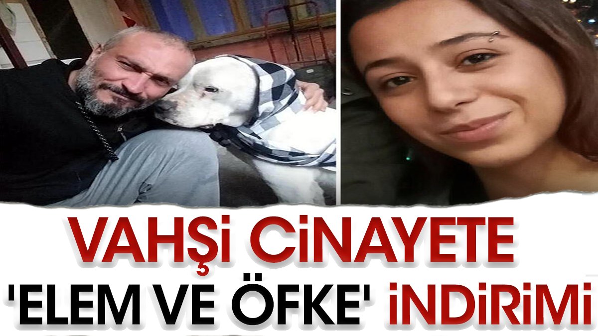 Vahşi cinayete 'elem ve öfke' indirimi: Ceyda’yı hayattan koparmıştı