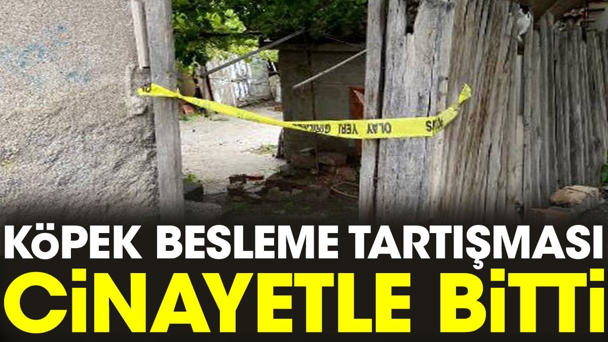 Köpek besleme tartışması cinayetle bitti