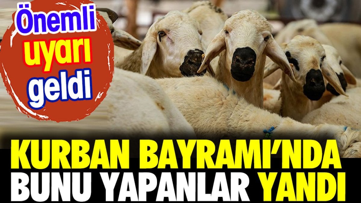 Kurban Bayramı'nda bunu yapanlar yandı. Kurban keseceklere önemli uyarı