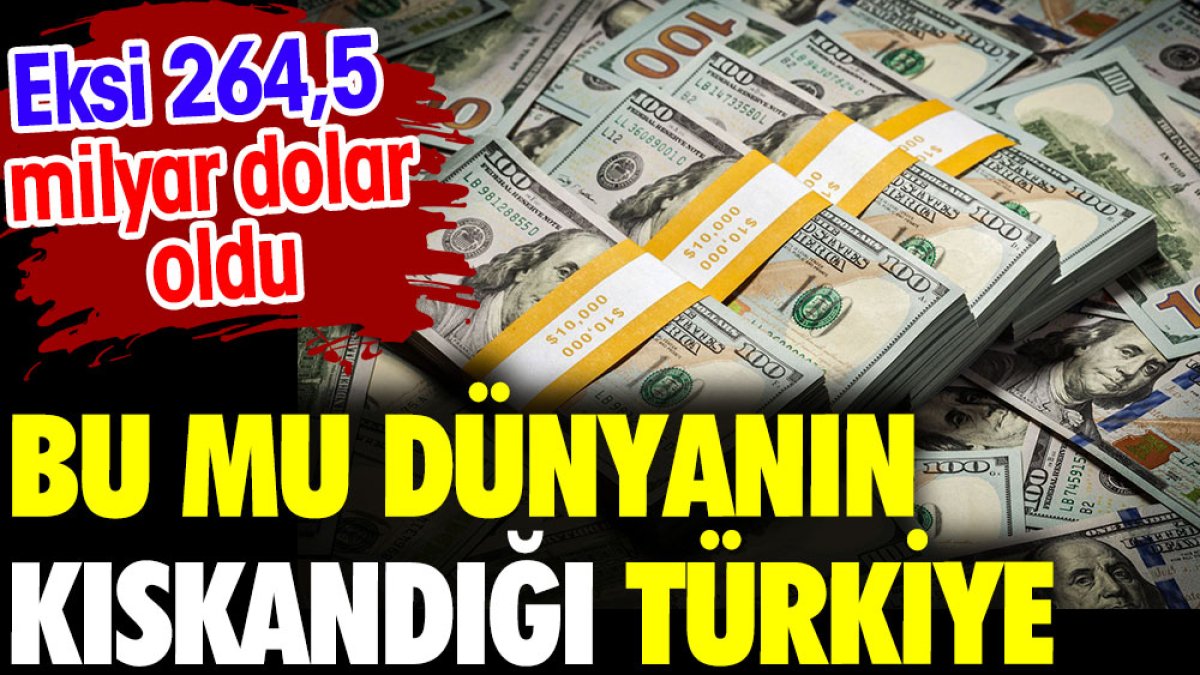 Bu mu dünyanın kıskandığı Türkiye. Eksi 264,5 milyar dolar oldu