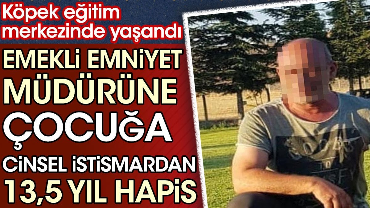 Emekli emniyet müdürüne çocuğa cinsel istismardan 13.5 yıl hapis