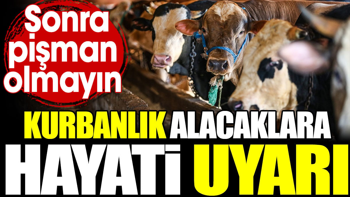 Kurbanlık alacaklara hayati uyarı. Sonra pişman olmayın