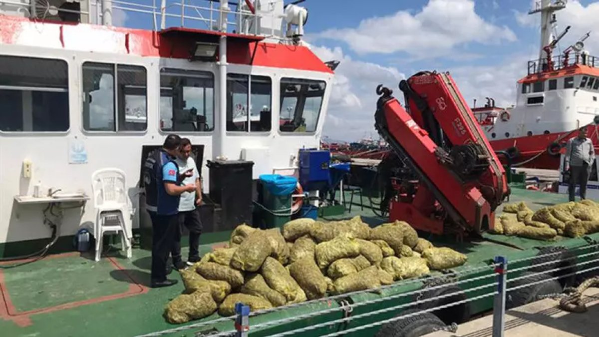 Marmara Denizi'nde kaçak midye çıkaran 21 tekneye el konuldu