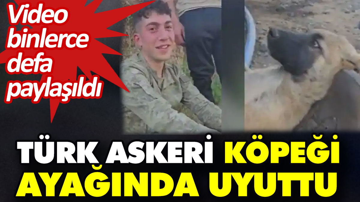 Türk askeri köpeği ayağında uyuttu. Video binlerce defa paylaşıldı