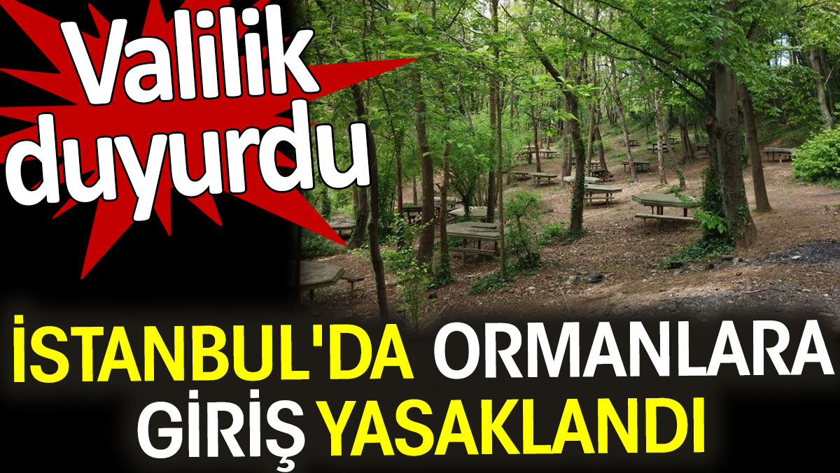 İstanbul'da ormanlara giriş yasaklandı. Valilik duyurdu