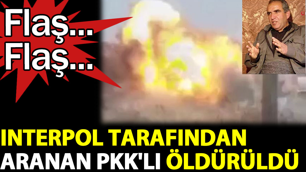 Interpol tarafından aranan PKK'lı öldürüldü