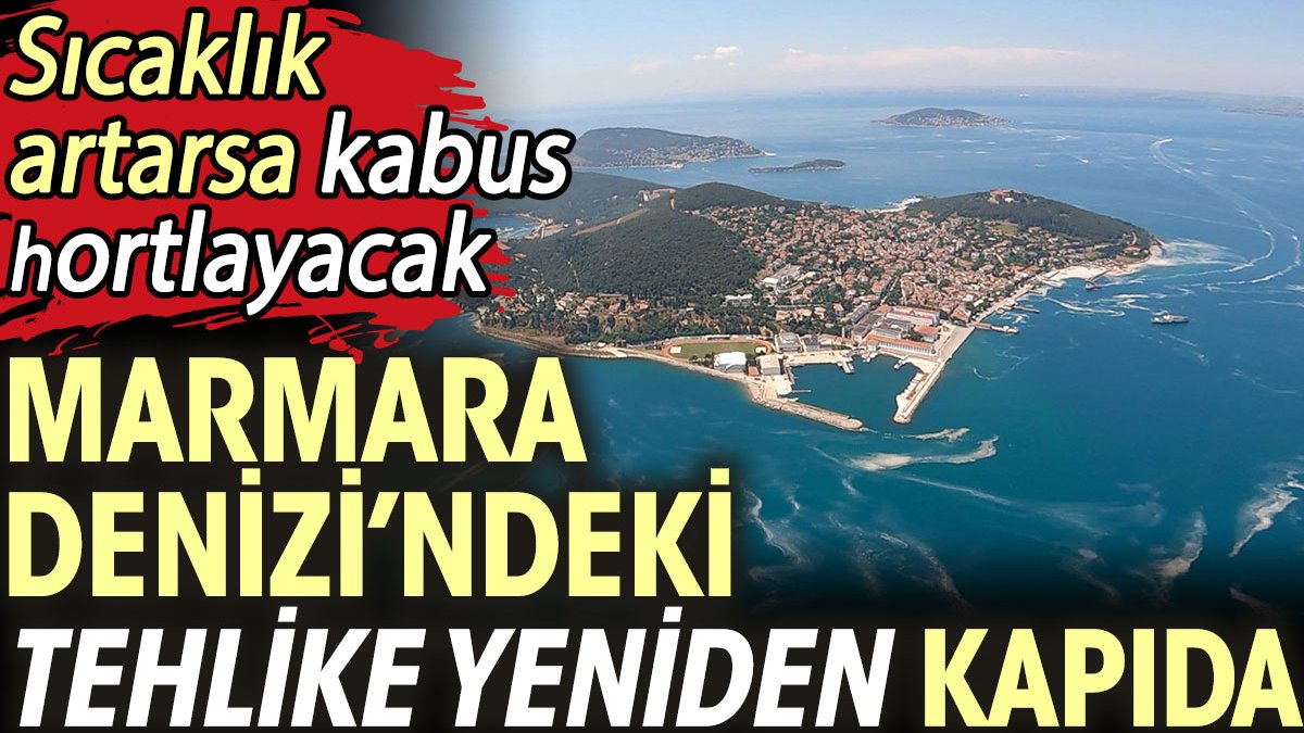 Marmara Denizi’ndeki tehlike yeniden kapıda: Sıcaklık artarsa kabus hortlayacak
