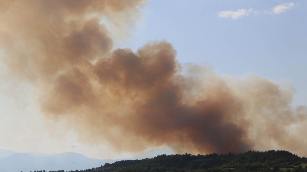 Adana Çukurova’da orman yangını