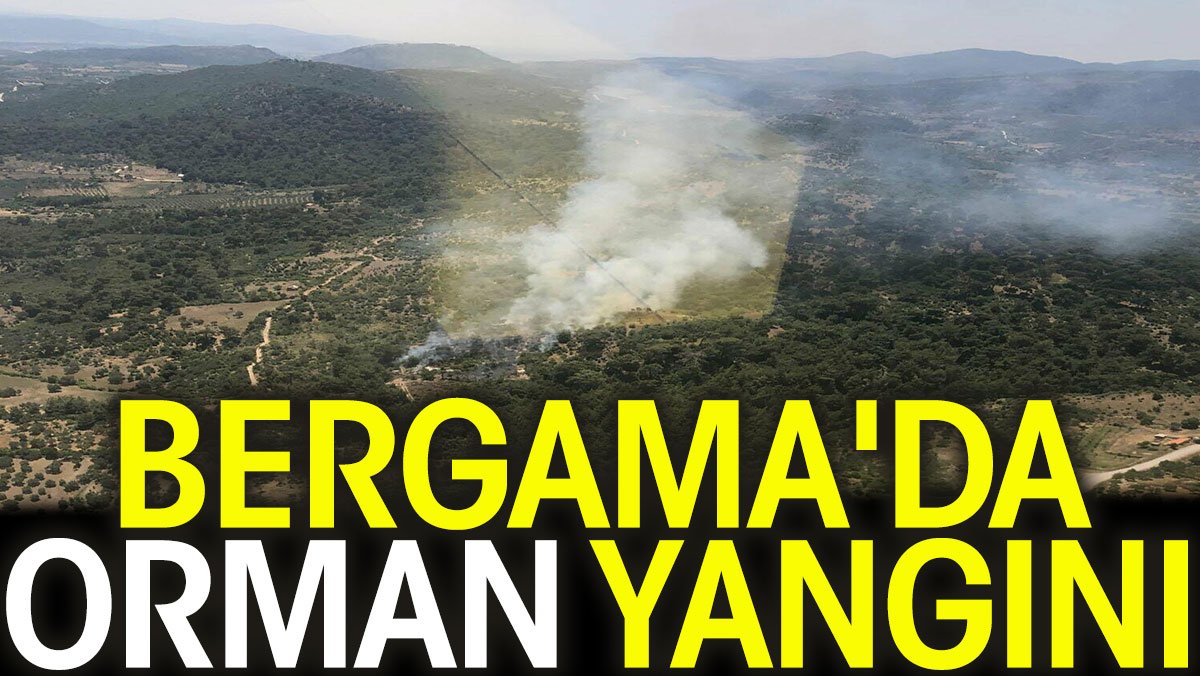 Bergama'da orman yangını (24 Haziran 2023)