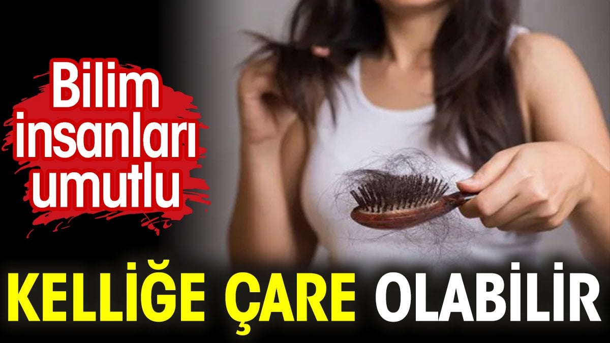 Kelliğe çare olabilir. Bilim insanları umutlu