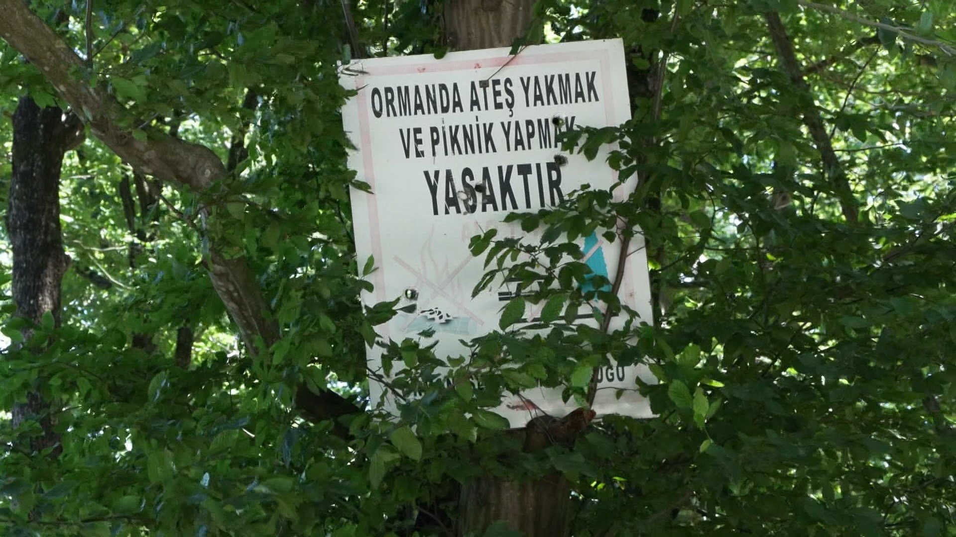 Ormanlara giriş yasağında ilk gün