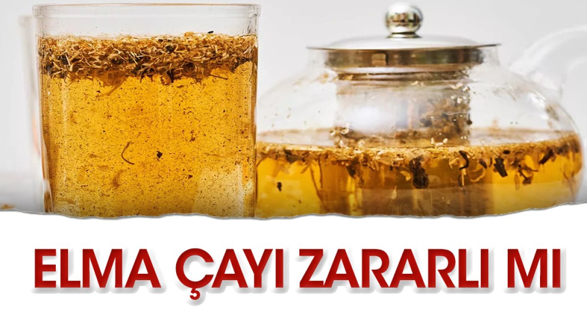 Elmanın çayı mı suyu mu yararlı