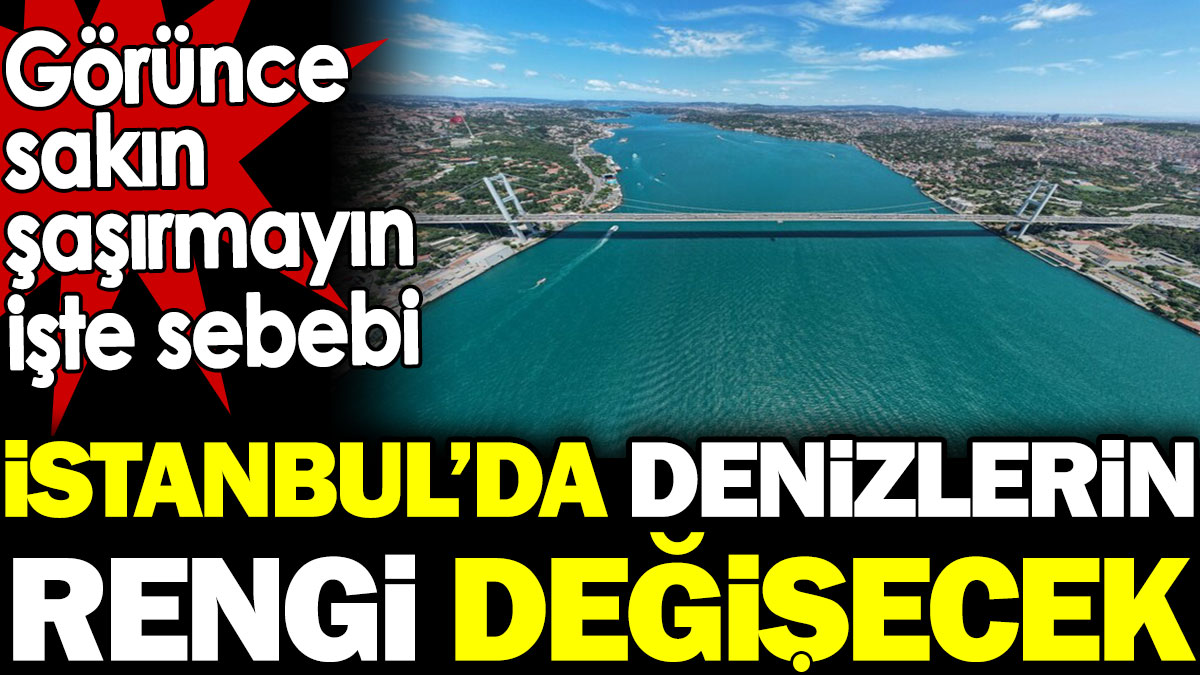 İstanbul'da denizlerin rengi değişecek. Görünce sakın şaşırmayın işte sebebi