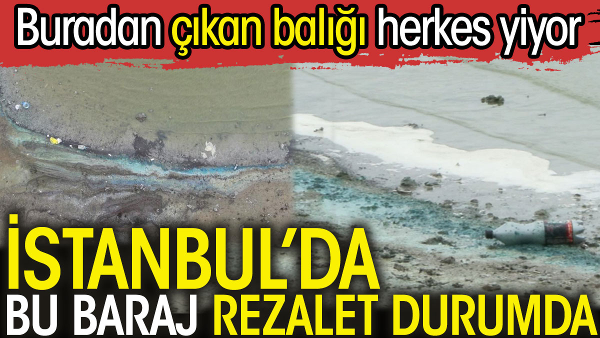 İstanbul’da bu baraj rezalet durumda. Buradan çıkan balığı herkes yiyor