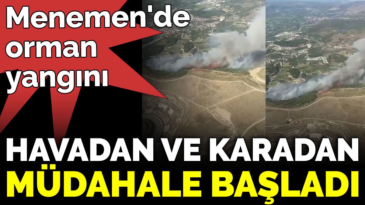 İzmir Menemen'de orman yangını. Havadan ve karadan müdahale başladı