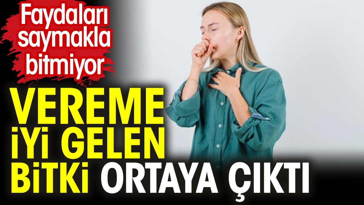 Vereme iyi gelen bitki ortaya çıktı. Faydaları saymakla bitmiyor