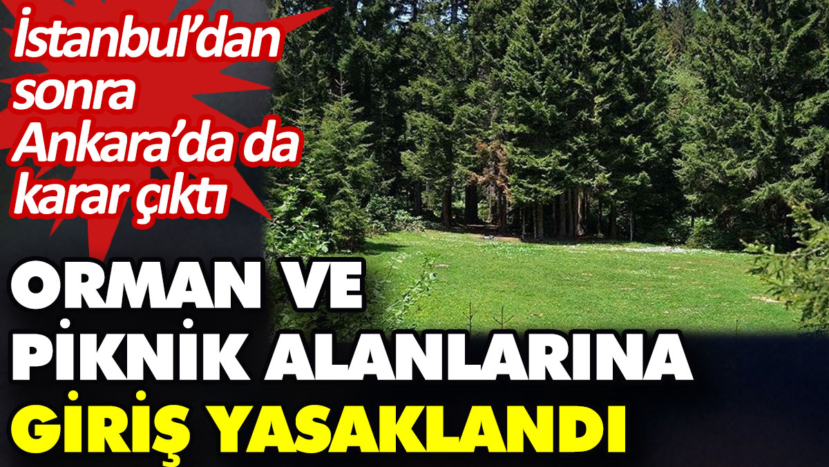İstanbul’dan sonra Ankara’da da karar çıktı. Orman ve piknik alanlarına giriş 30 Eylül’e kadar yasak