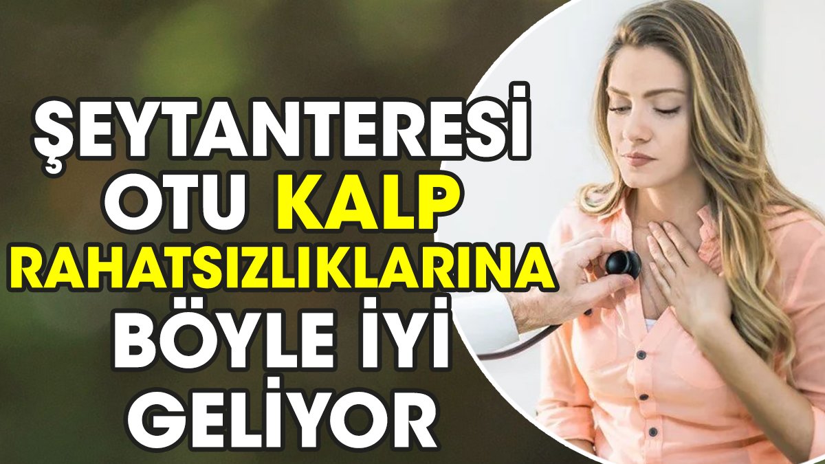 Kalp rahatsızlıklarına iyi gelen bitki belli oldu